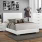 Felicity Wood Queen Panel Bed White High Gloss