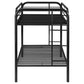 Morgan Metal Twin Over Twin Bunk Bed Black