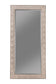 Rollins 32 x 66 Inch Rectangular Floor Mirror Silver