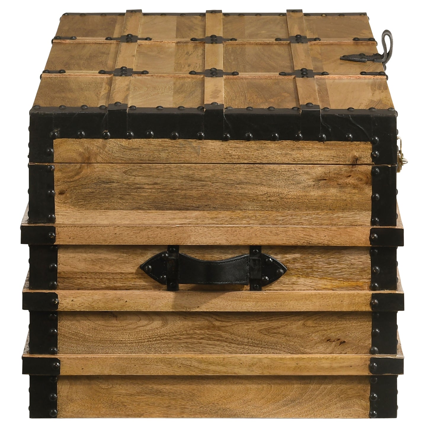 Simmons Wood Storage Trunk Natural and Black