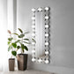 Aghes 24 x 62 Inch Wall Mirror with Lighting Silver